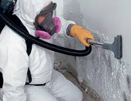 Best Mold Remediation for Rental Properties  in USA